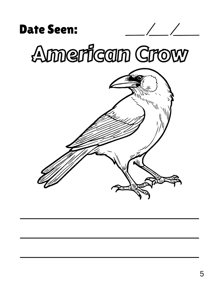 Birds I've Seen in Louisiana (A Birdwatching Coloring Book) product image (2)