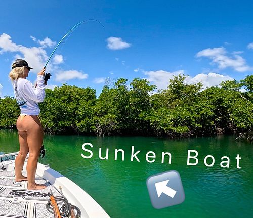 New YouTube video is live, go check it out 🎣 snapper fishing key west 🌴 #mangrove #yellowtail #snapper #oceans #edge #keywest...