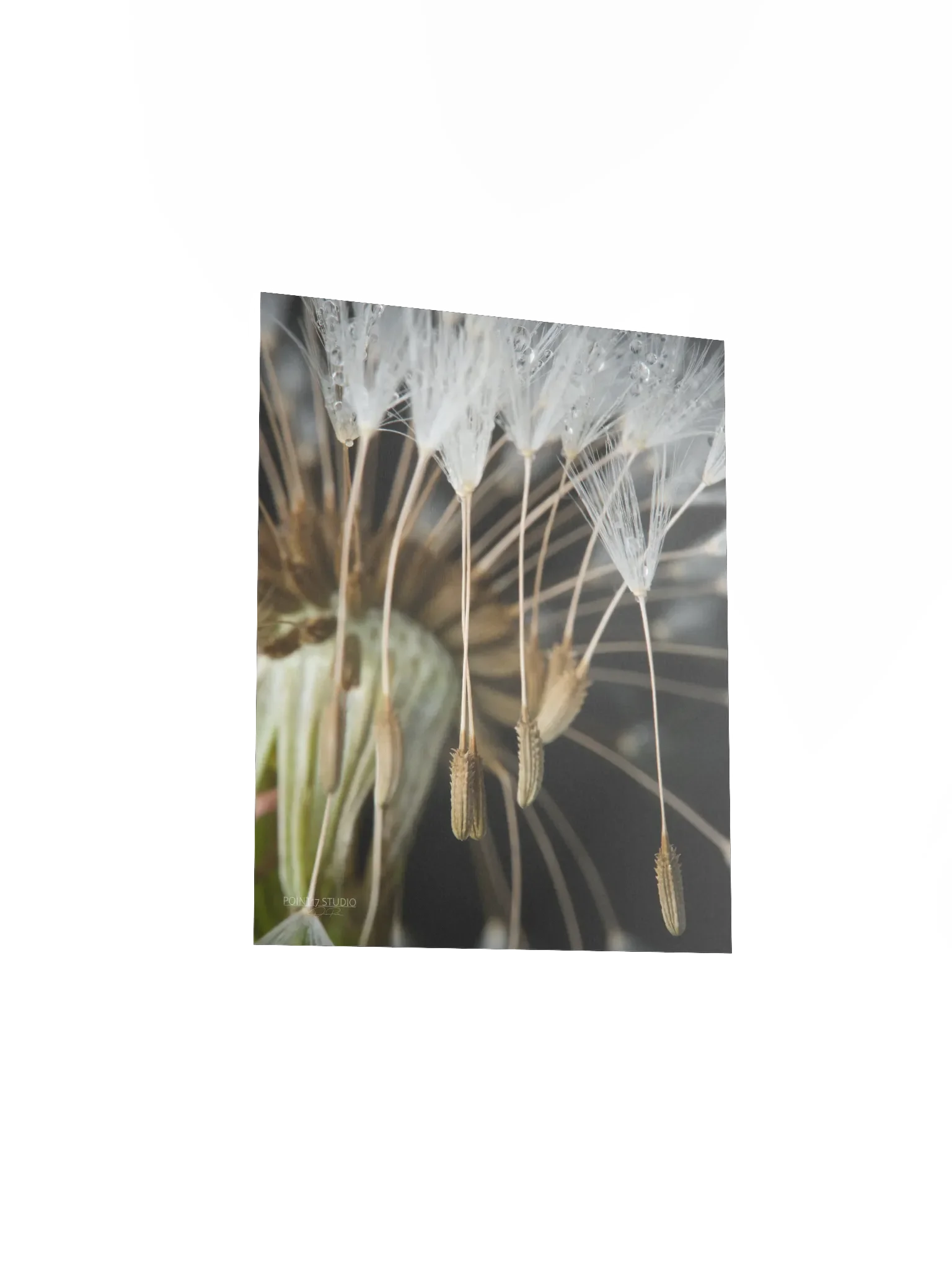 Rapture - Poster product image (5)