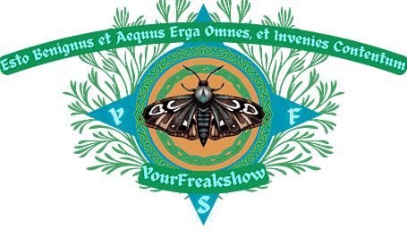 Disciple of the Moth