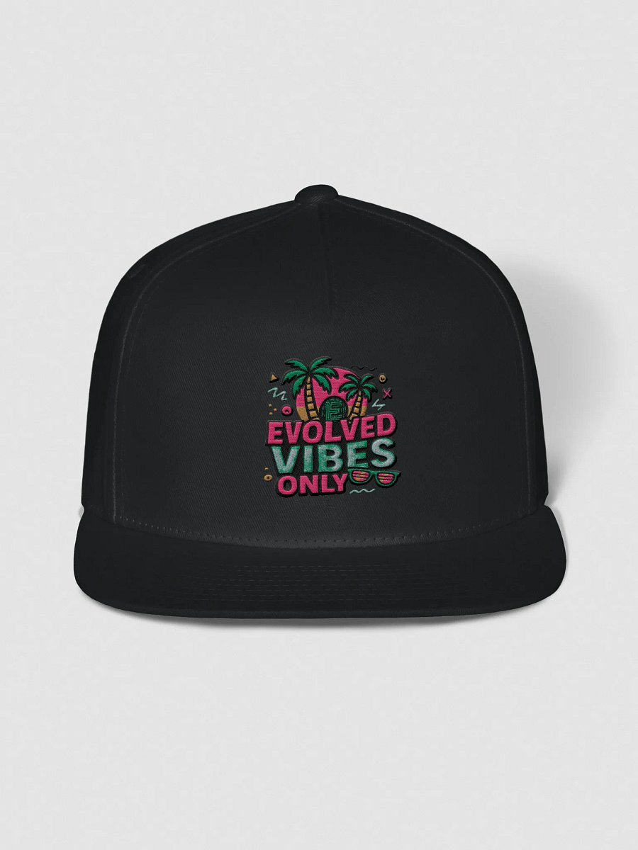 Evolved Vibes Snapback Cap product image (1)