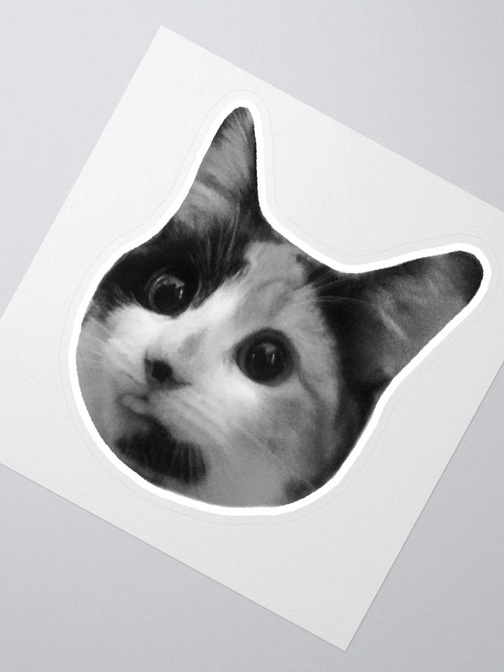 SPOINS - Sticker product image (2)