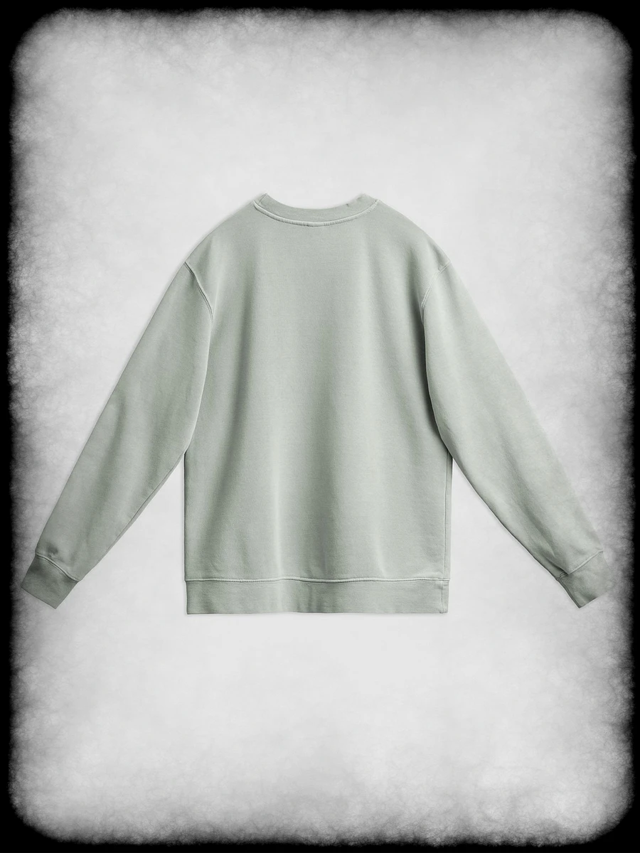 DTP - Sweatshirt product image (2)