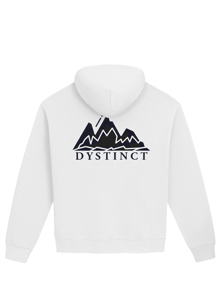 Dystinct hoodie product image (2)