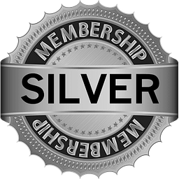 Bus Army Silver