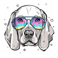 The Goofy Weim