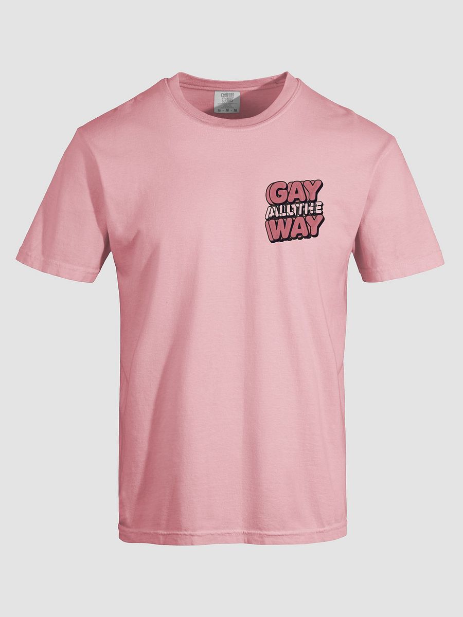 Gay All The Way T-Shirt product image (22)