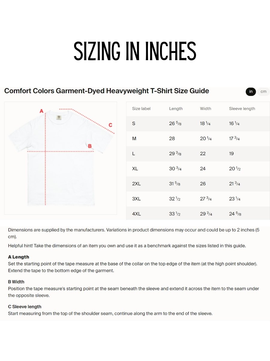 Wanted Dirty Bird Gang Comfort Colors Heavyweight T-shirt product image (5)