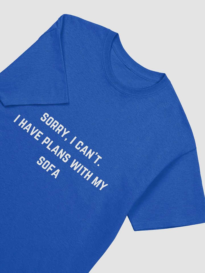 Teacher Quote Tshirt - Sorry, I can’t. I have plans with my sofa product image (45)