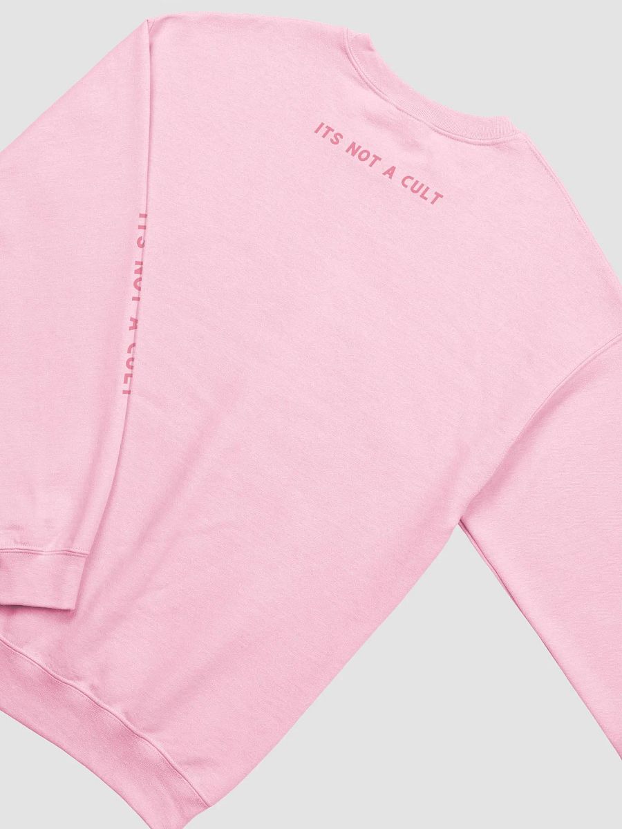 NOT A CULT Sweatshirt product image (19)