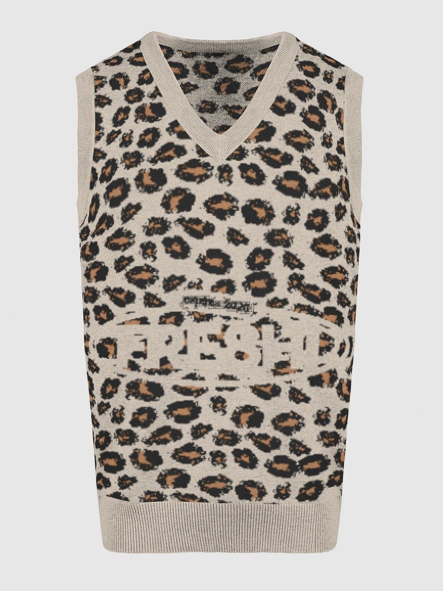 Freshi Simple Leopard V-Neck Sweater product image (15)
