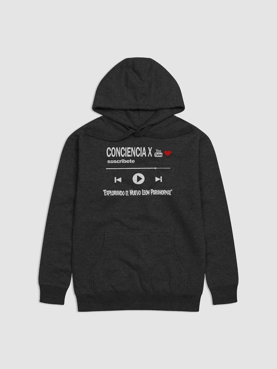 Celebrity Insurance Premium Hoodie product image (8)