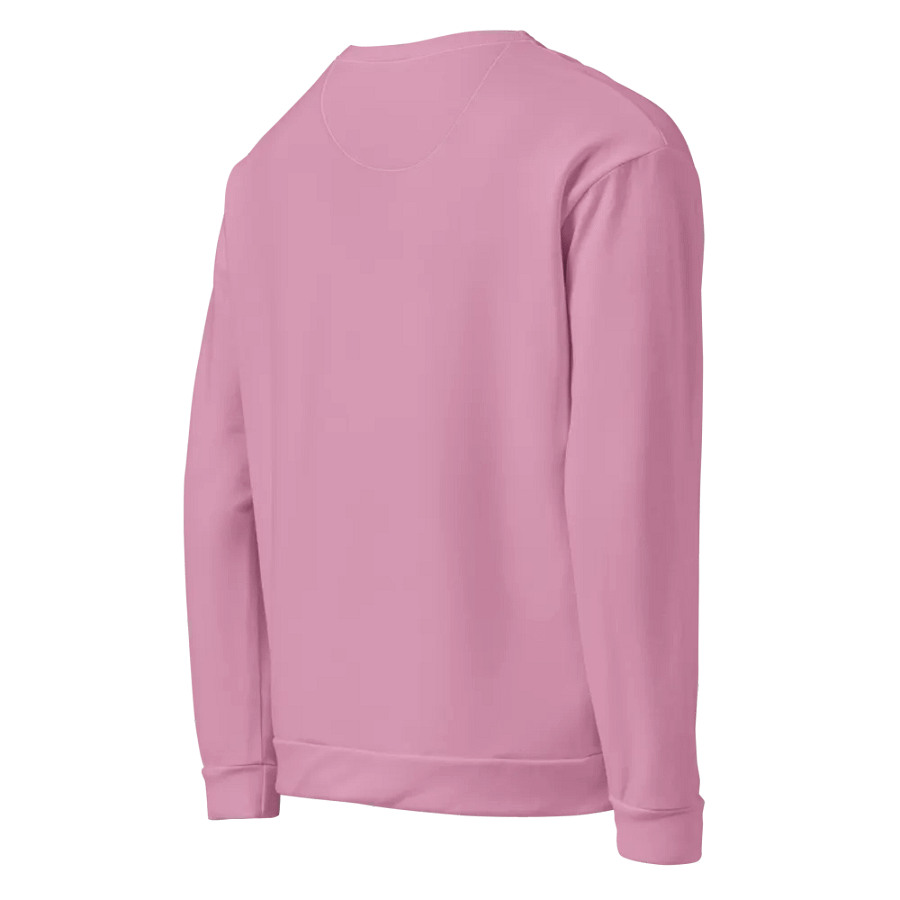 Plain Light Pink Light Summer Unisex Recycled Polyester Heavyweight Premium Sweatshirt by Treasure Pie product image (9)