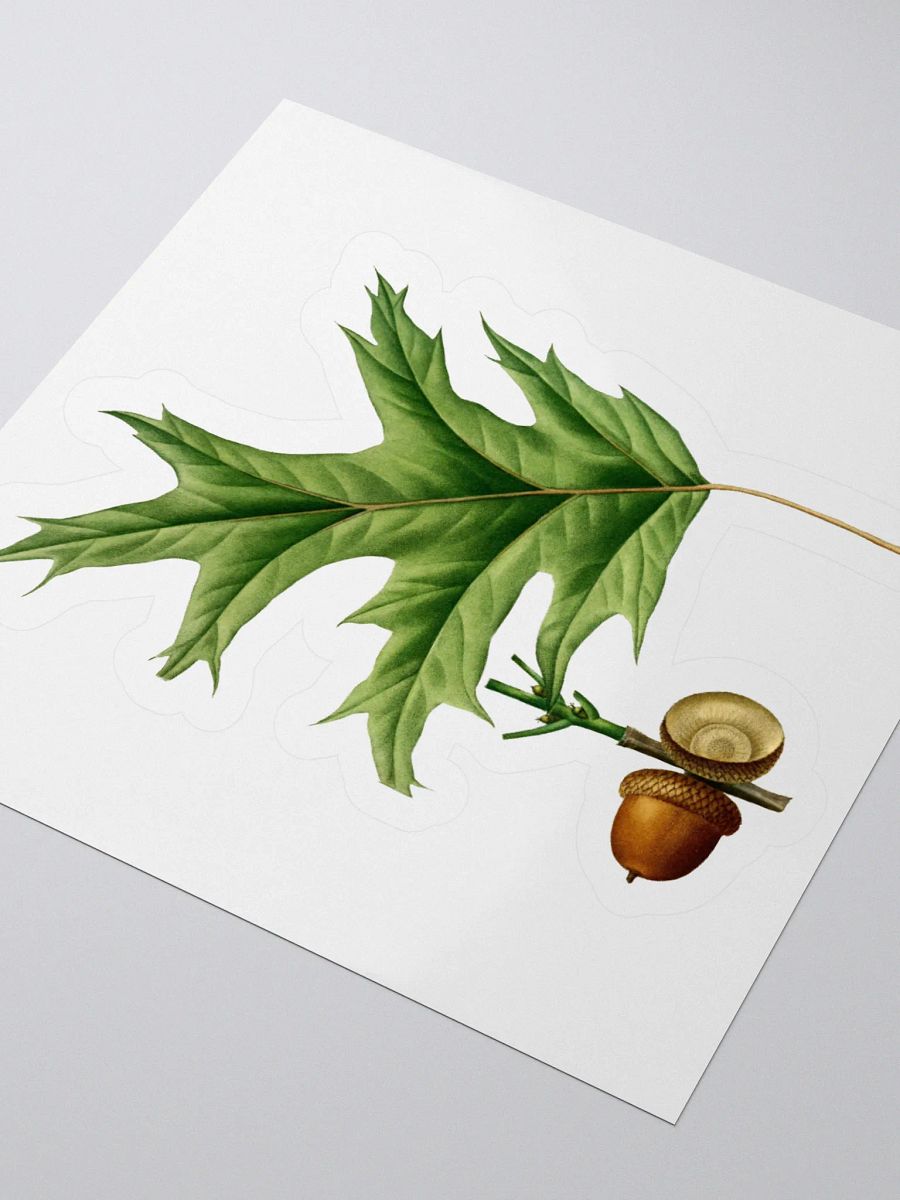 Red Oak Sticker product image (3)