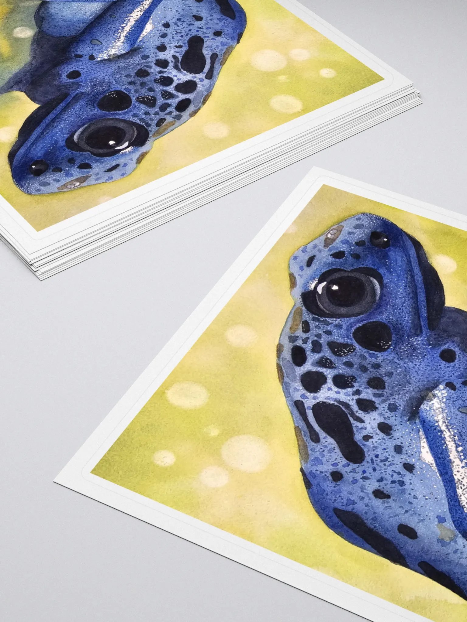 Randolf - Poison dart frog - sticker product image (10)