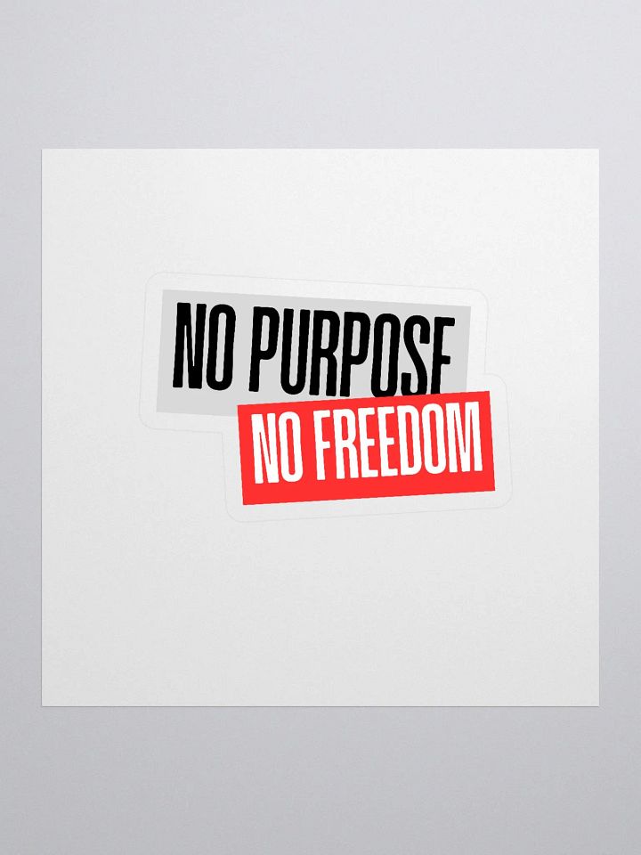 Rebel Statement Kiss Cut Stickers | no purpose no freedom product image (2)