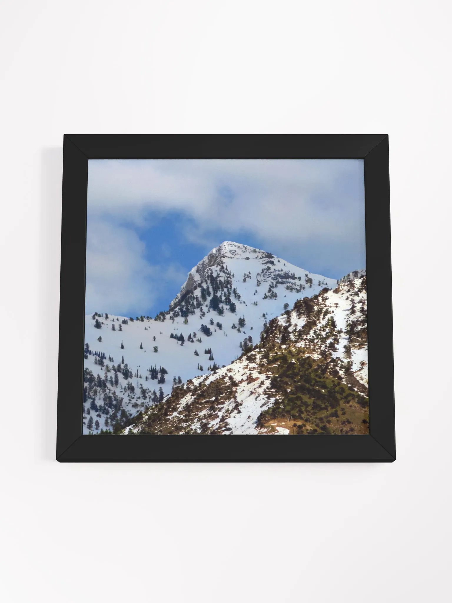 Framed High-Quality Matte Poster - Cherry Peak product image (4)