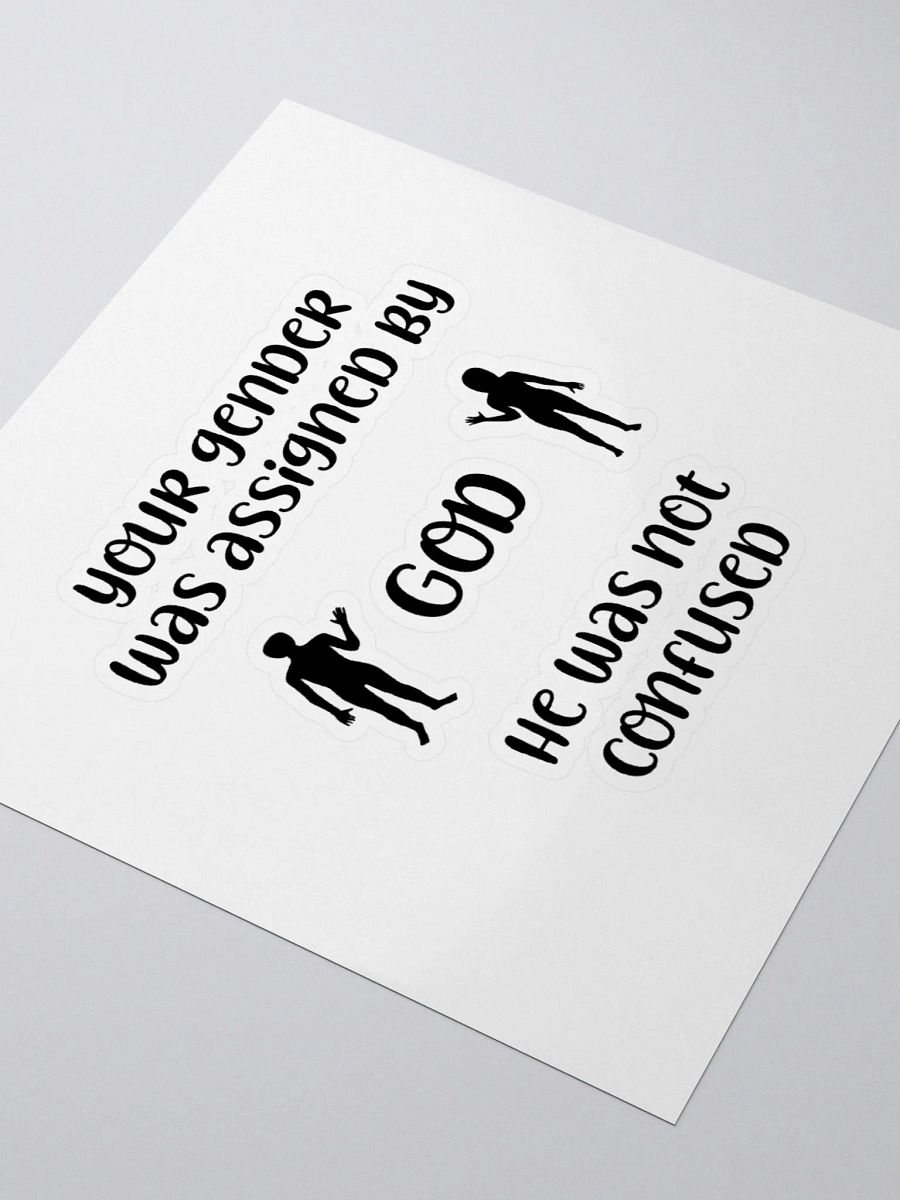 Your Gender Was Assigned by GOD. Vinyl Kiss Cut Stickers product image (8)