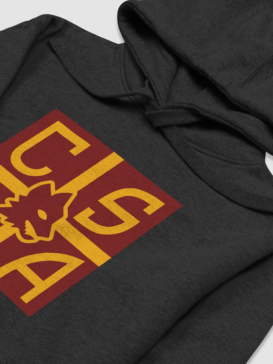 CSLA | Edition X | Premium Hoodie Unisex product image (10)