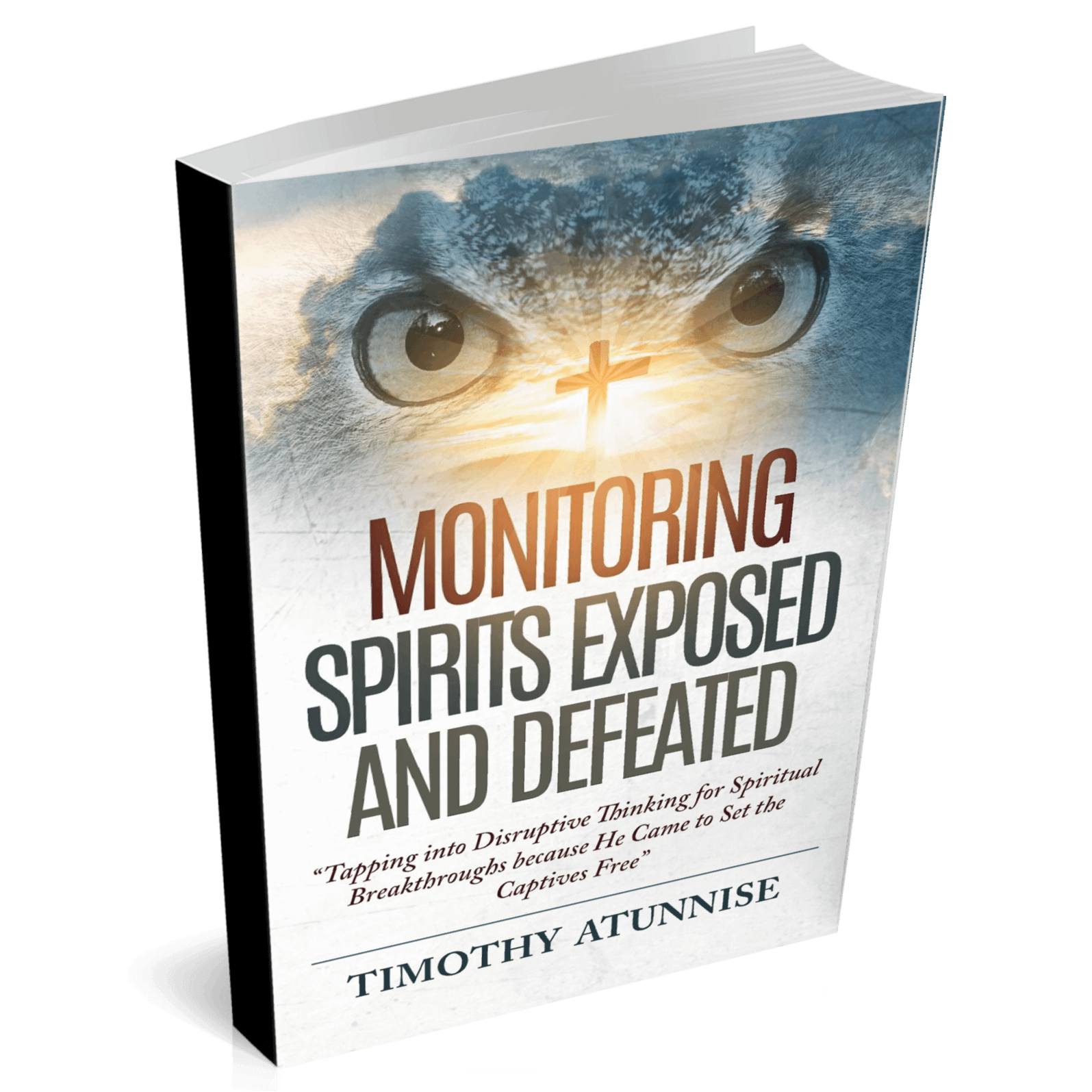 Monitoring Spirits Exposed and Defeated product image (1)