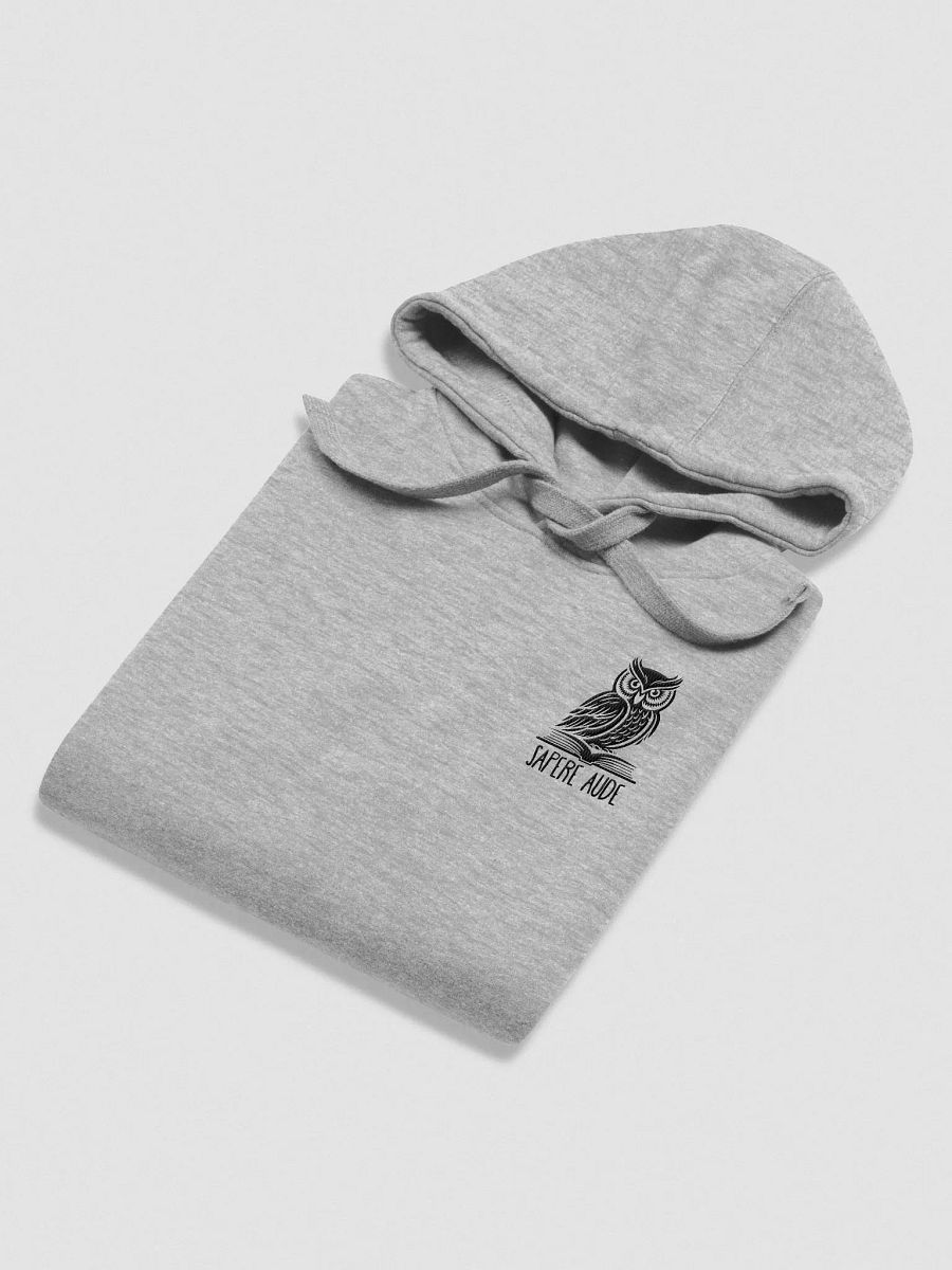 Sapere Aude Hoodie product image (4)