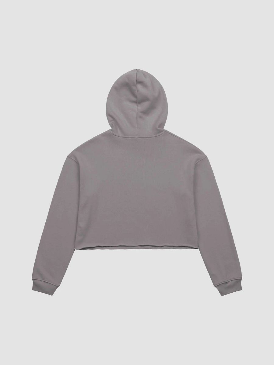 Toby and George Incident Crop Hoodie - Light Colours product image (2)