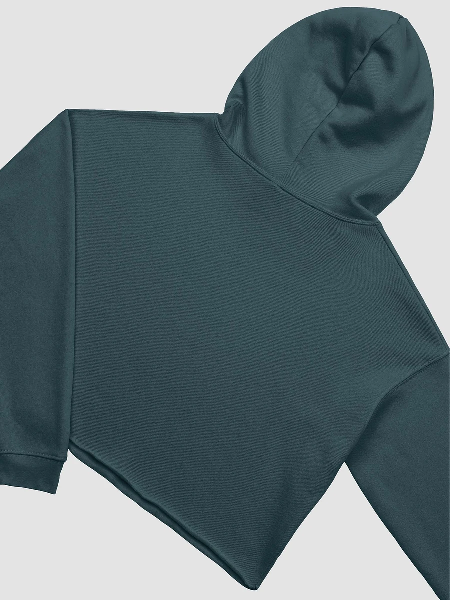 Vaporcoelacanth fleece crop hoodie product image (5)