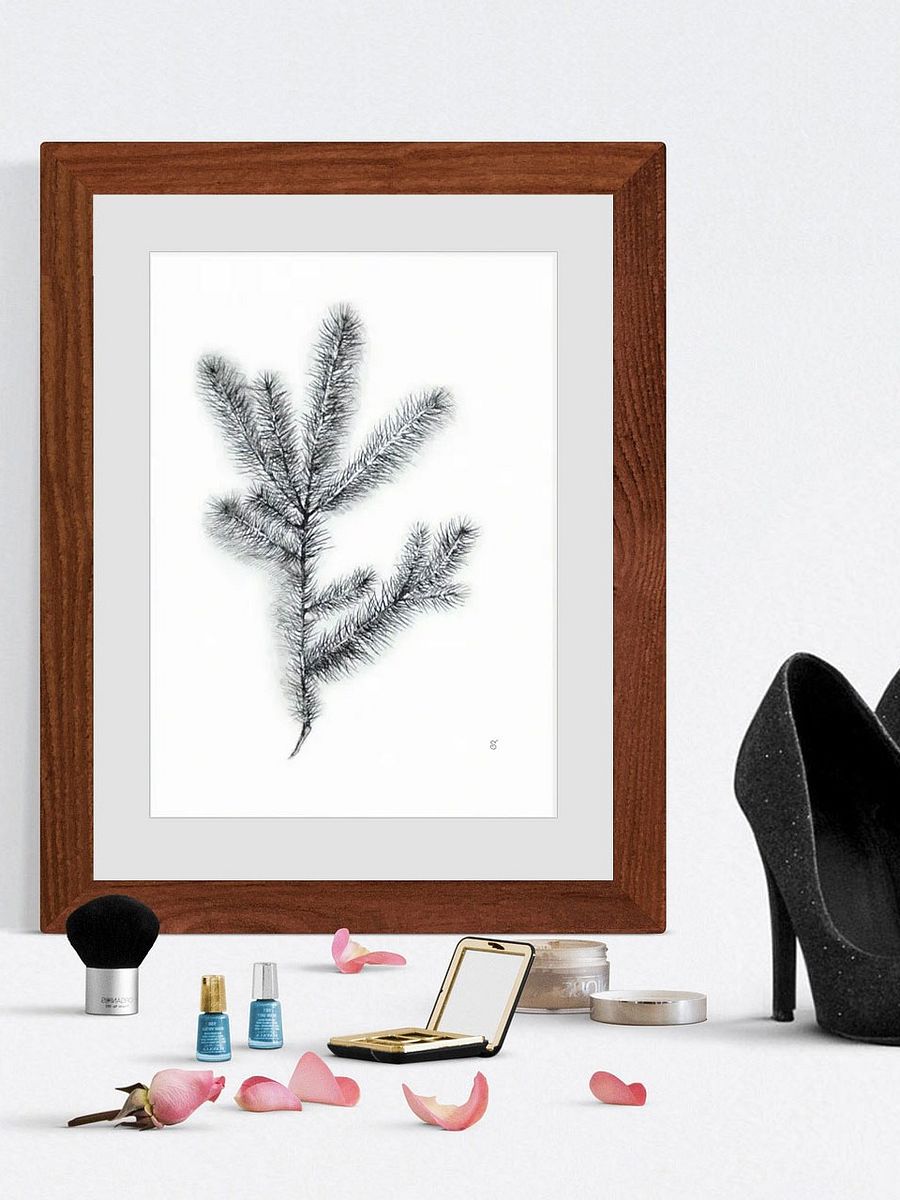 Whimsical Coniferous Branch Poster - Spruce Branch product image (5)