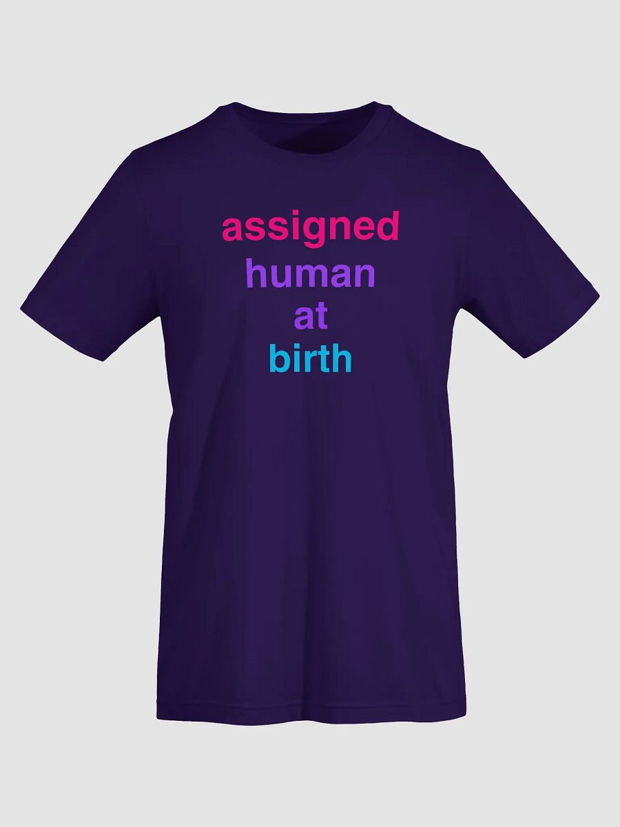 assigned human at birth androgyne t-shirt product image (5)