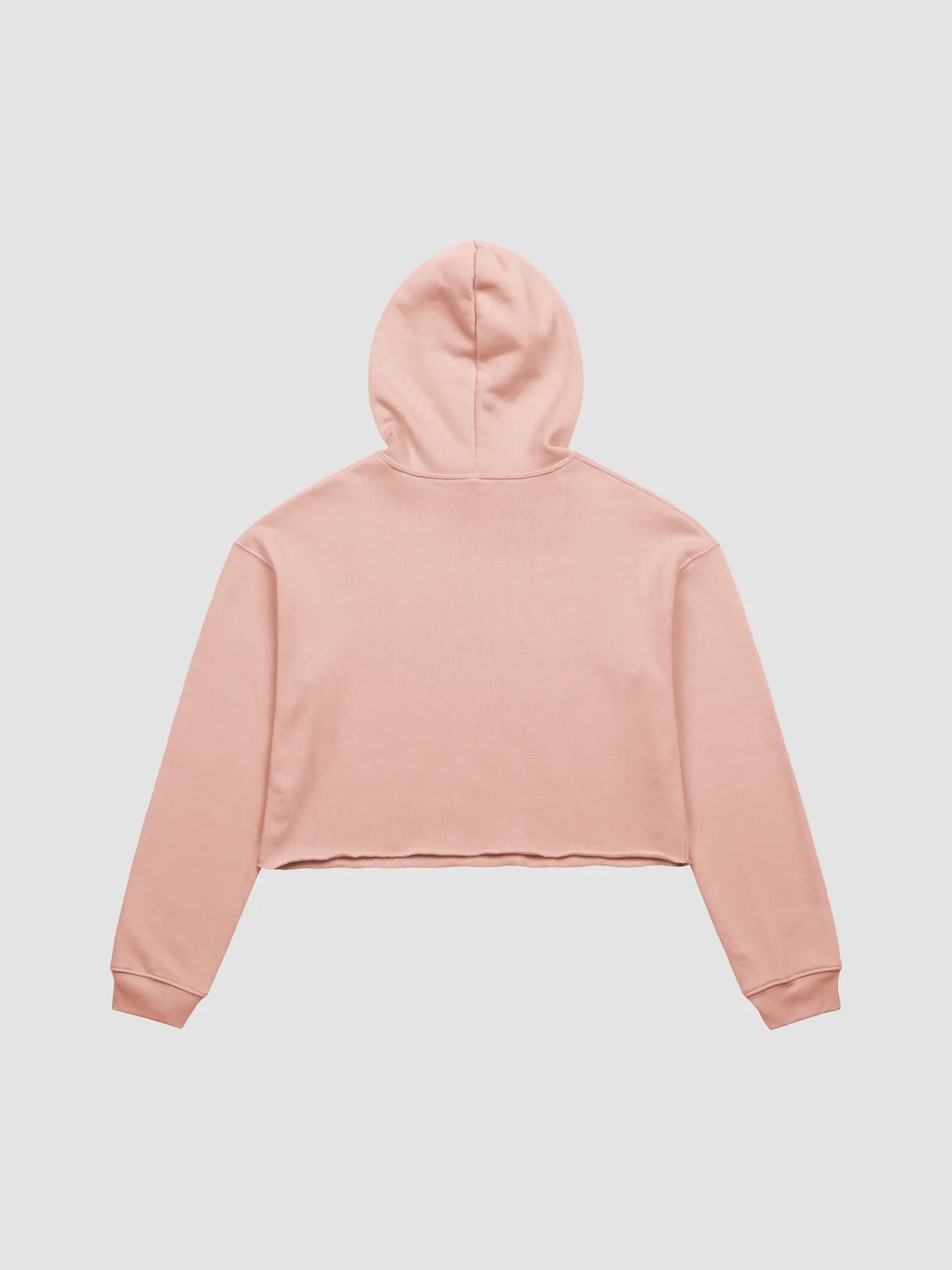 Dustbunny & Kettlebrew - Crop Hoodie product image (3)