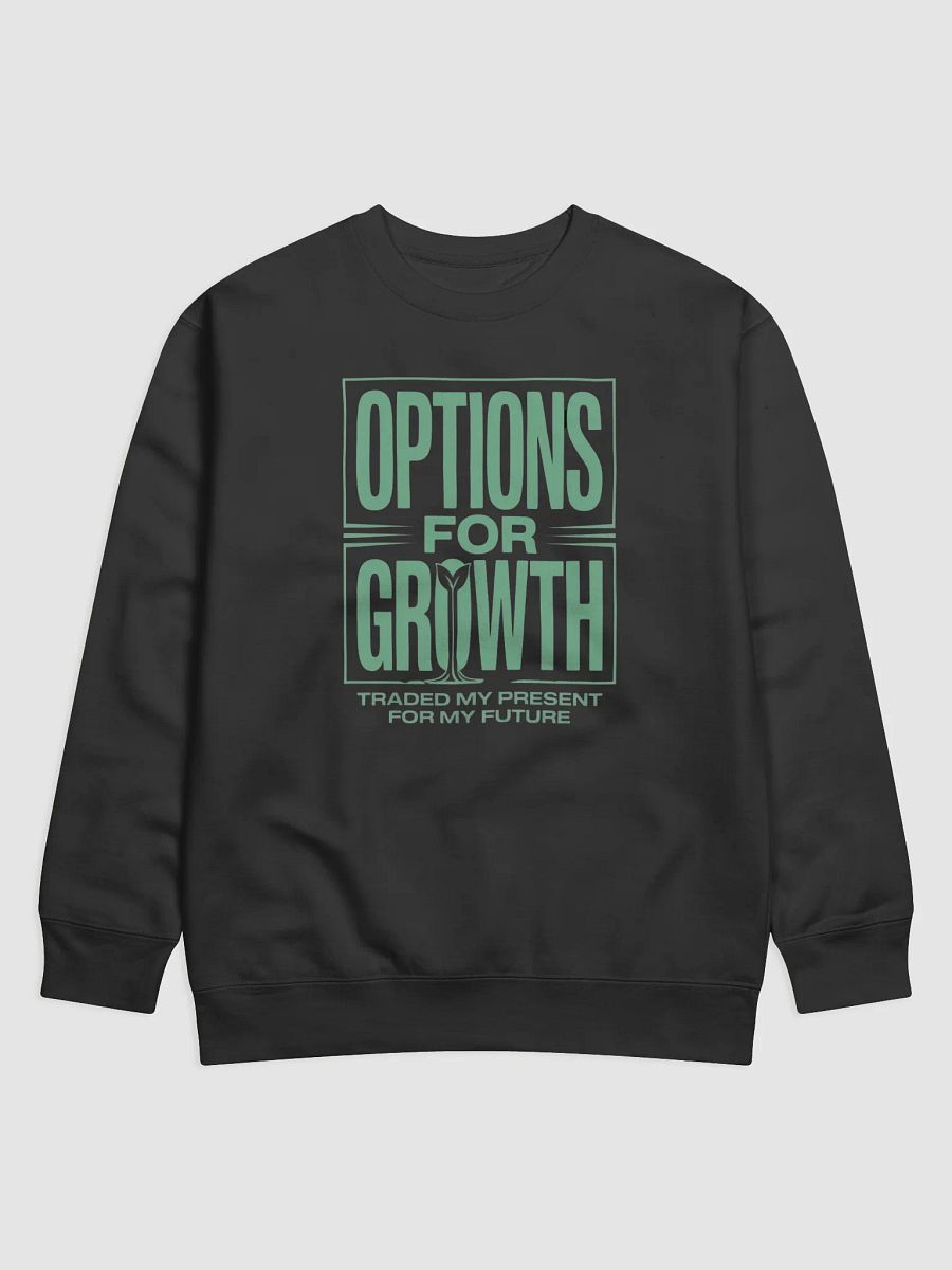 Growth Options Stylized Sweatshirt product image (1)