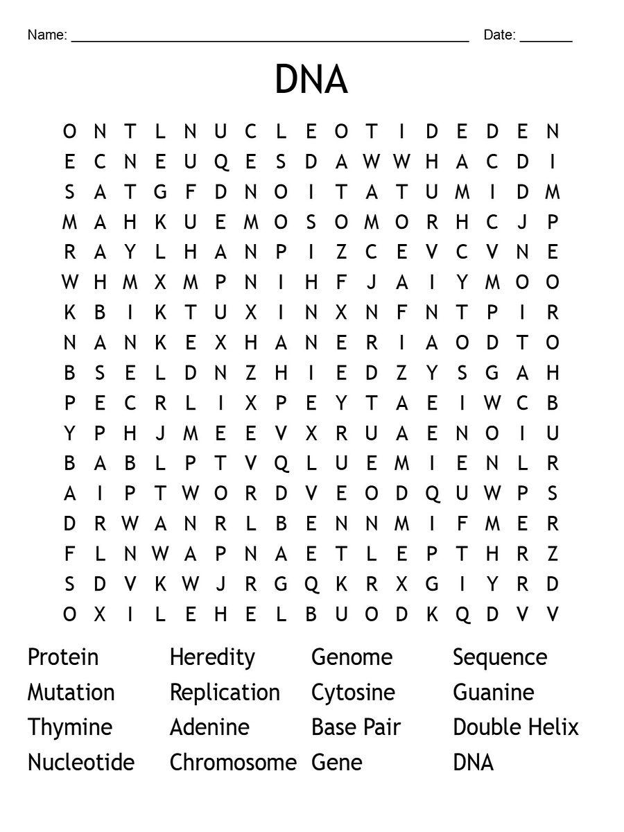 Printable DNA Word Search – 16 Key Vocabulary Puzzle Activities product image (1)