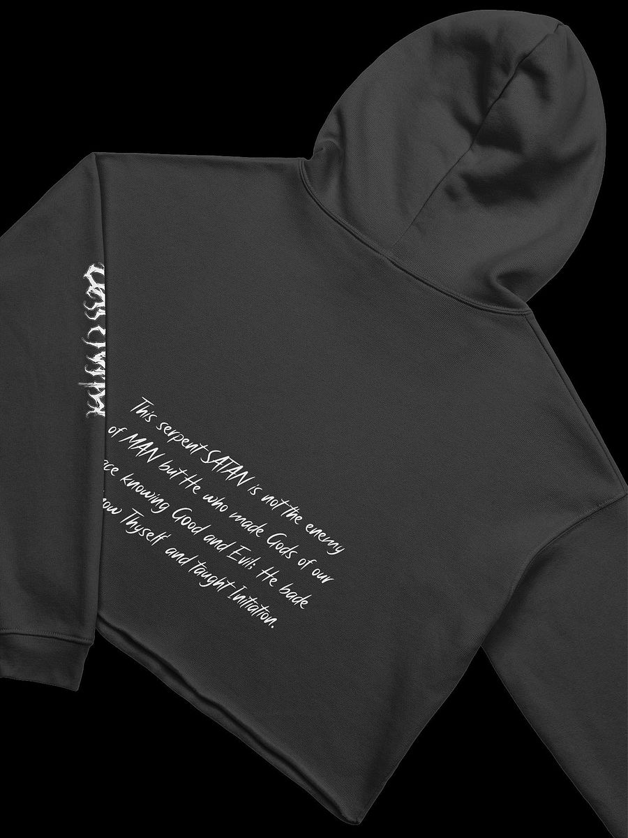 Baphomet Crop Hoodie product image (4)
