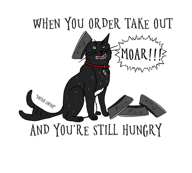 Meme Shirts/Hoodie