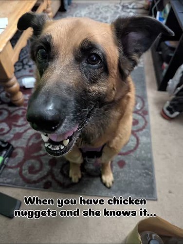 She hungry for nuggies