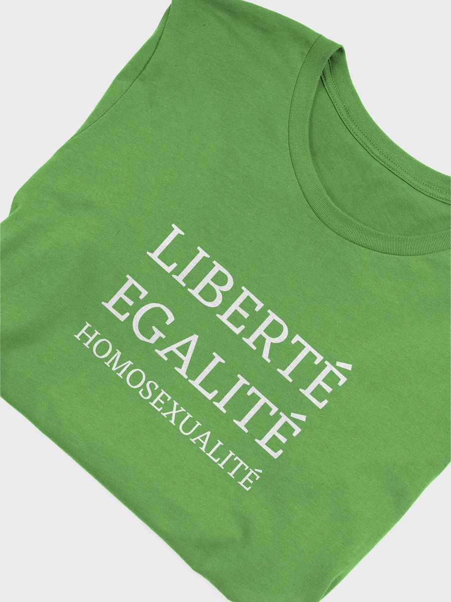 liberte egalite homosexualite IPA t-shirt product image (5)