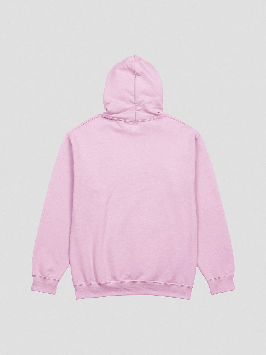 OGF Community Pride Hoodie product image (4)