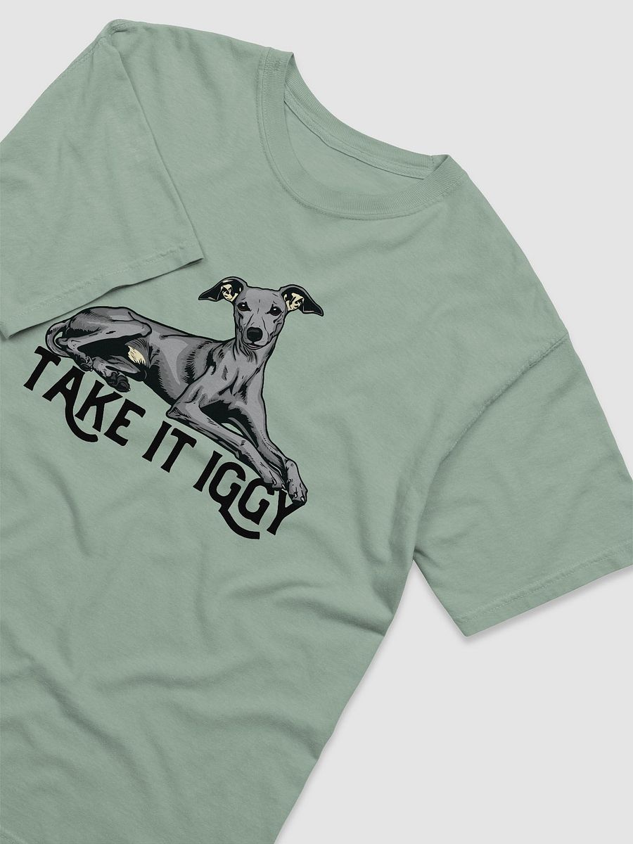 Take It Iggy T-Shirt of an Italian Greyhound | Funny T-Shirt for Iggy Paw-rents product image (6)