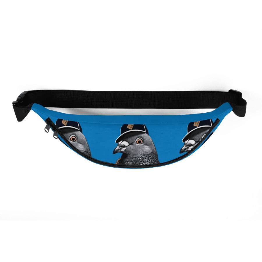 BIGGY Fanny Pack (BLUE) product image (5)