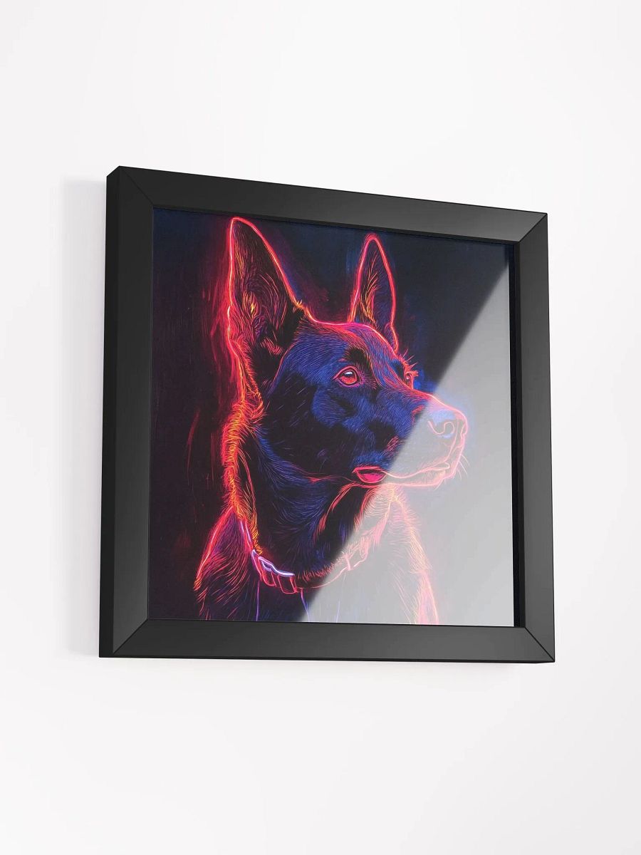 Belgický ovčák Malinois, linie product image (25)