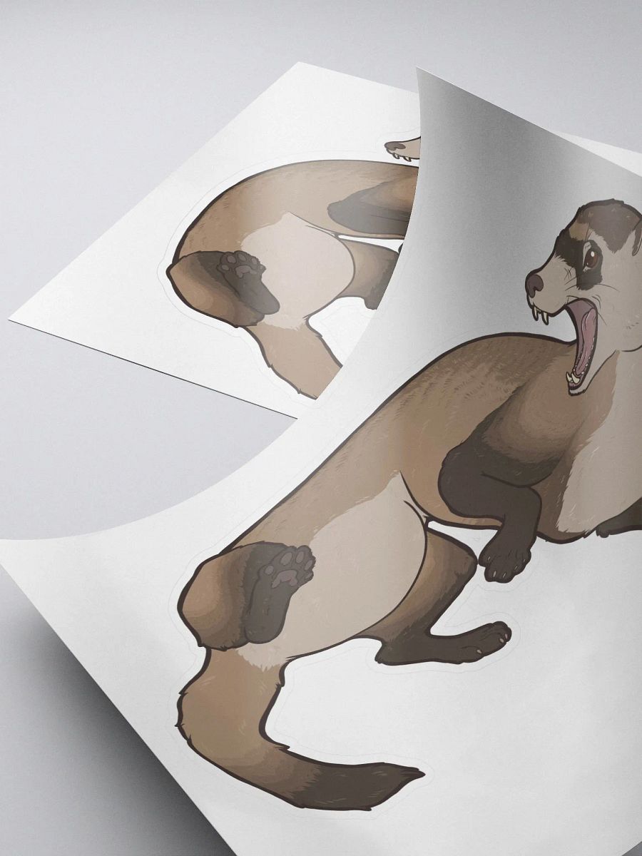 Black Footed Ferret product image (5)