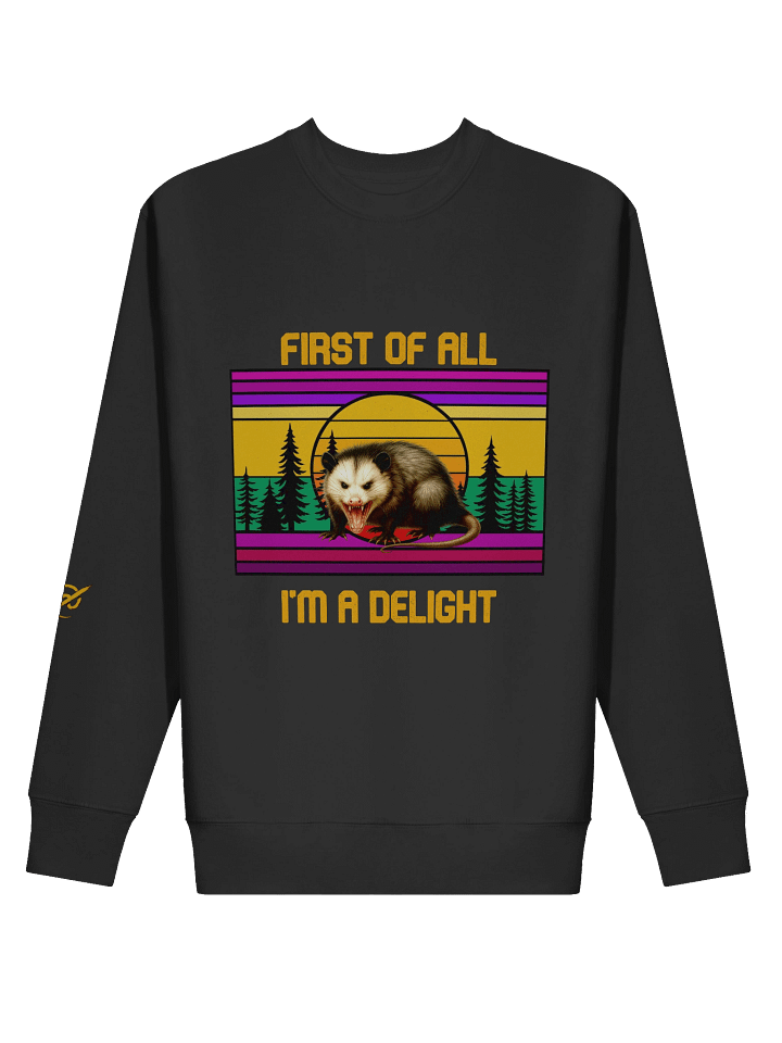 PASP Possum “I’m A Delight” Sweatshirt – Fall Edition product image (2)