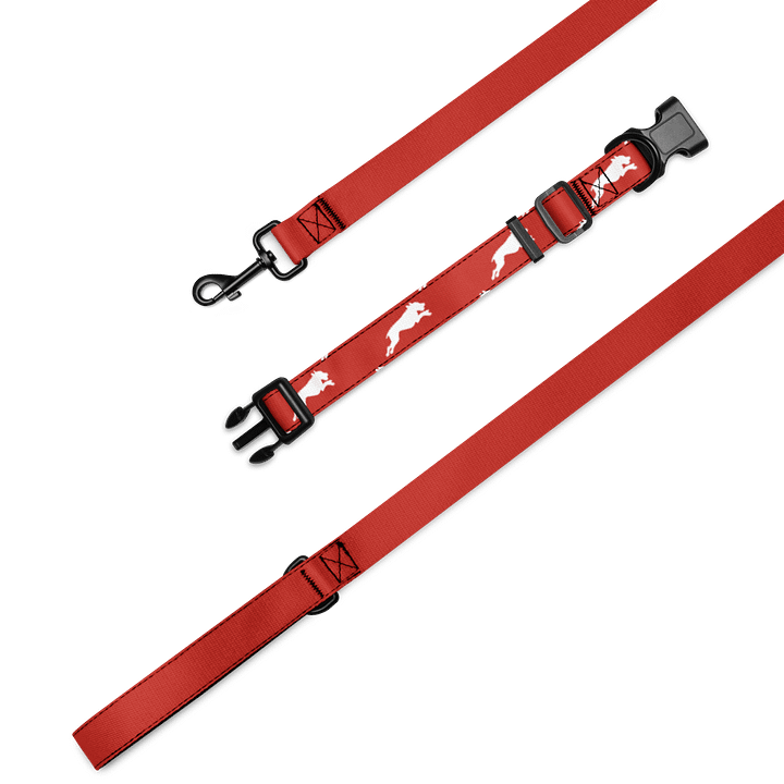 Cherry Red Collar & Leash product image (1)
