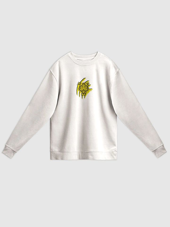 Sudadera con pigmento gráfico edición TryTiger product image (2)