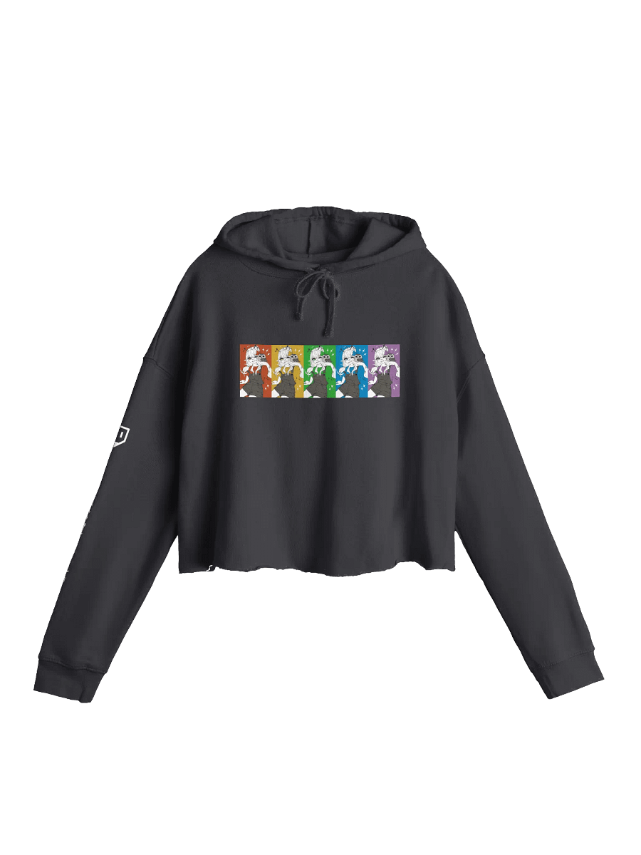 Northern Saw-whet Owl Lightweight Crop Hoodie - Rainbow (Dark Colours) product image (1)