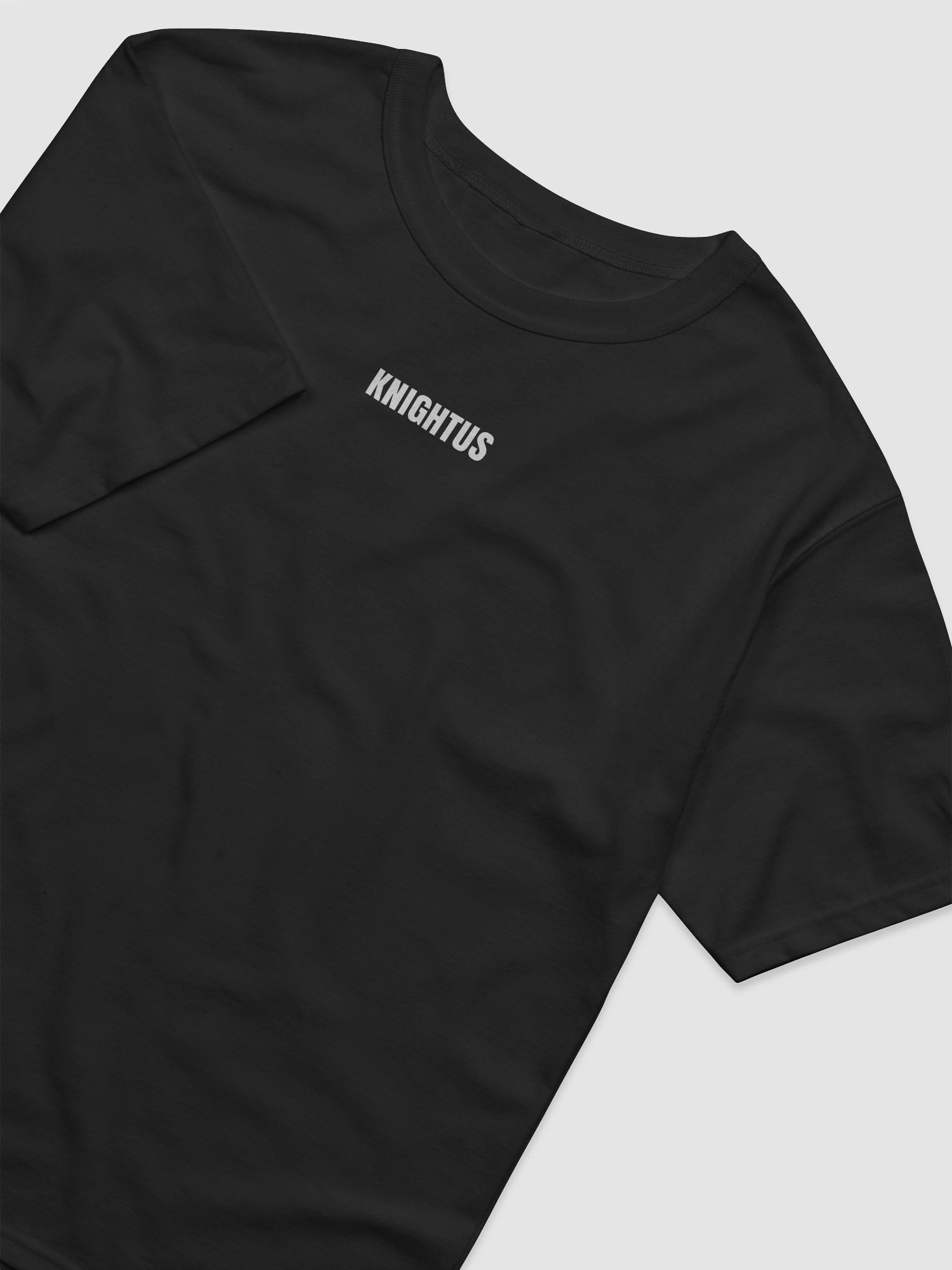 Champion x Shining Knightus Tee Unisex product image (4)