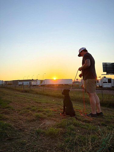 3 things I have learned about training a dog: 1. It will test your patience more than anything ever has. 2. It’s a marathon n...