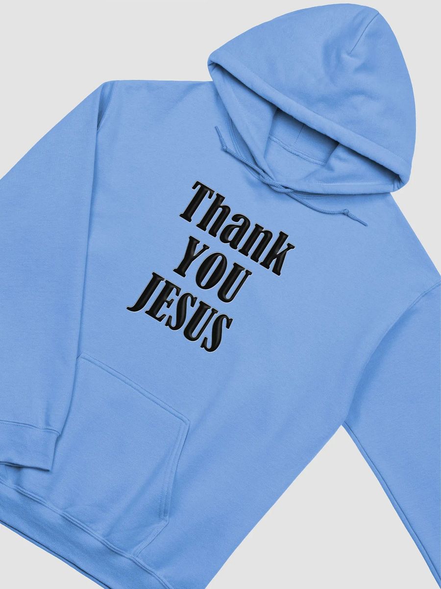 THANK YOU, JESUS, product image (19)