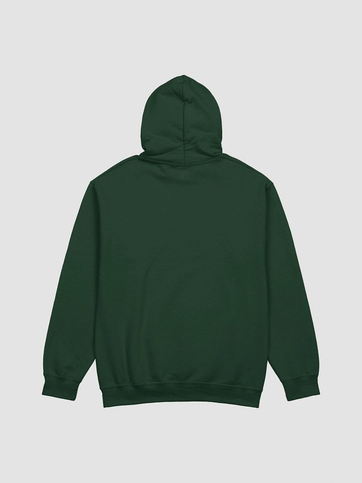 Lost Records: Bloom & Rage Swann's Black Mires Hoodie product image (10)