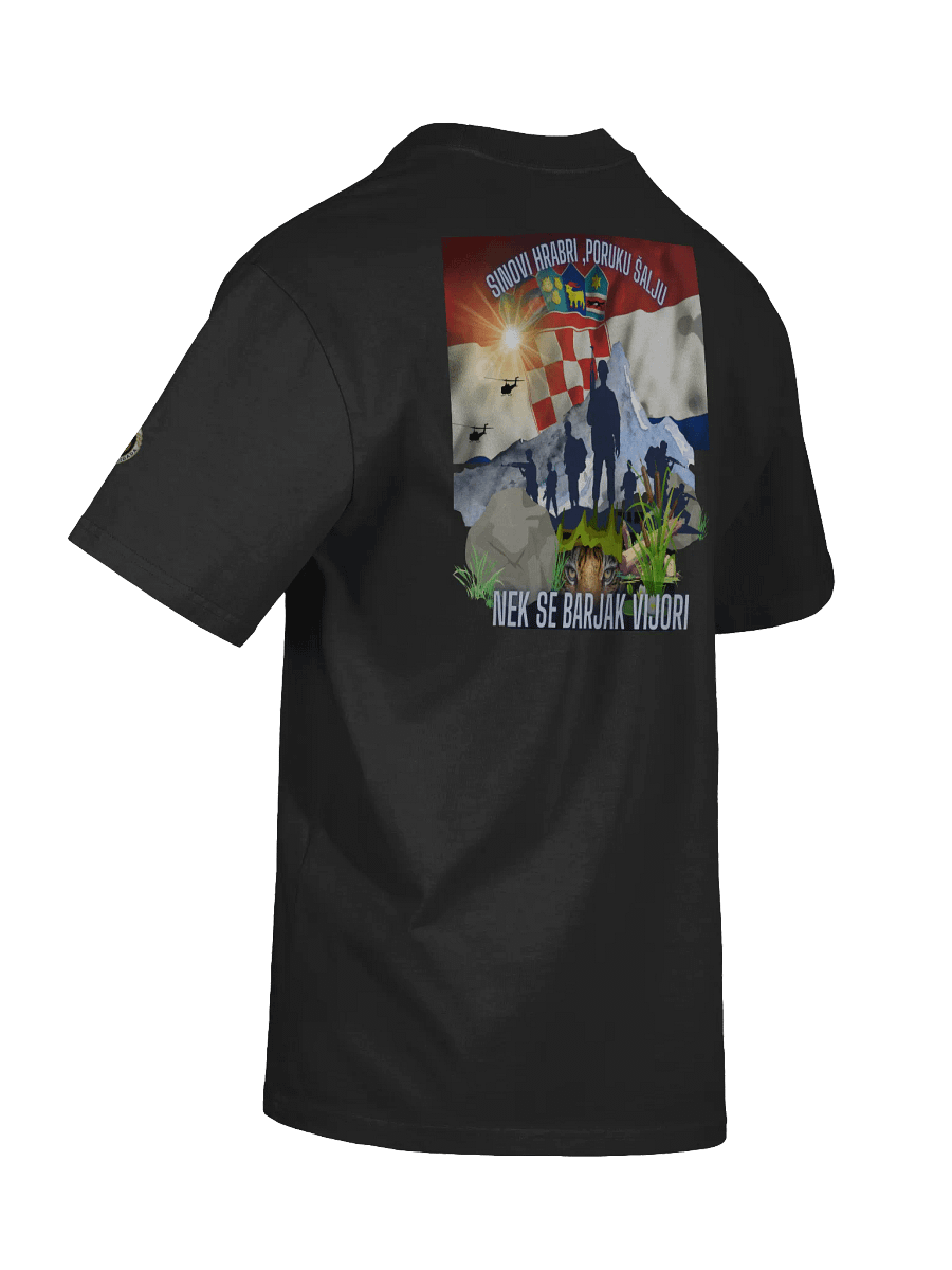 Crowned PNB Oversized Faded T-Shirt Tigrovi Oluja95 product image (8)